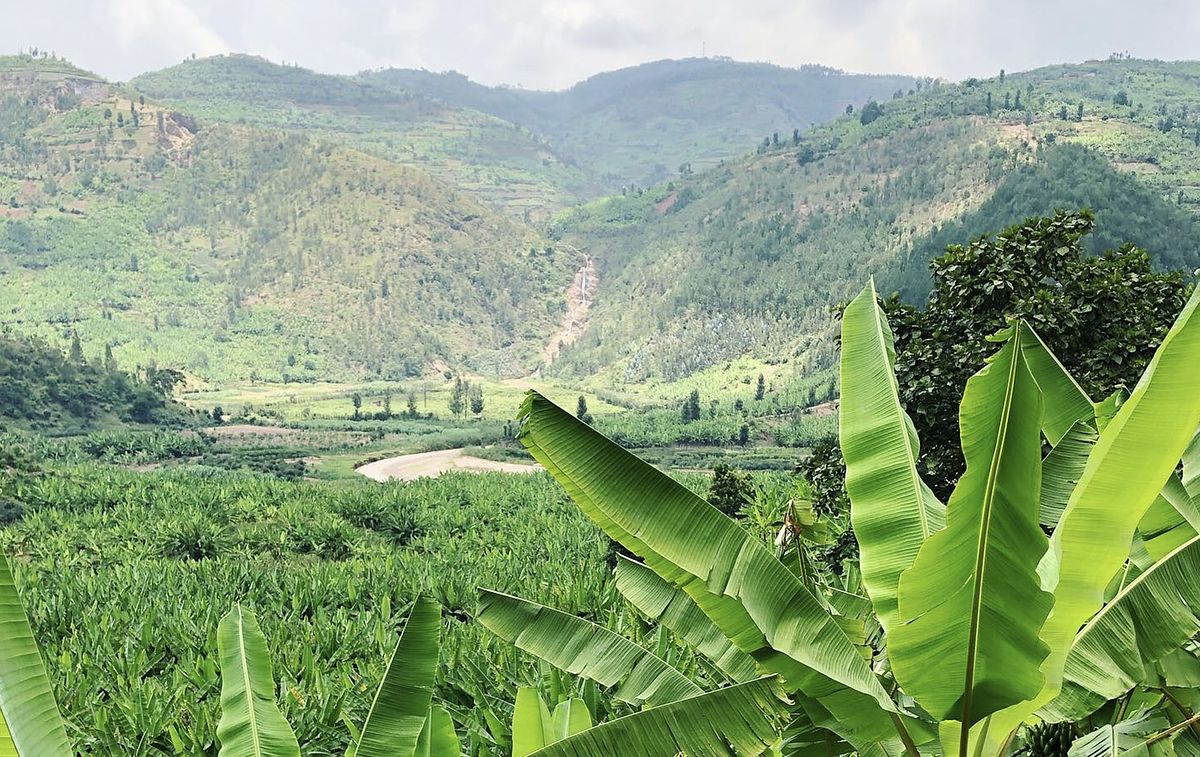 The beautiful hills of Rwanda